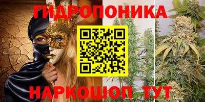 крисы Коммунар